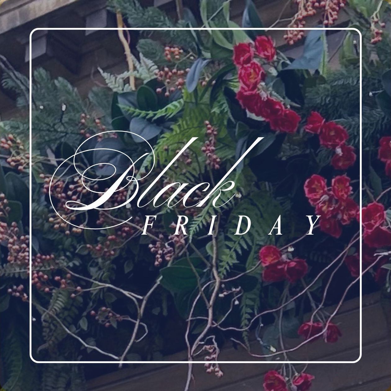 Jane Austen Black Friday Sale