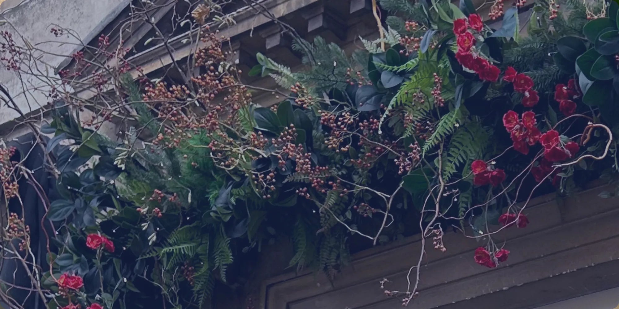 Jane Austen Cyber Monday Sale