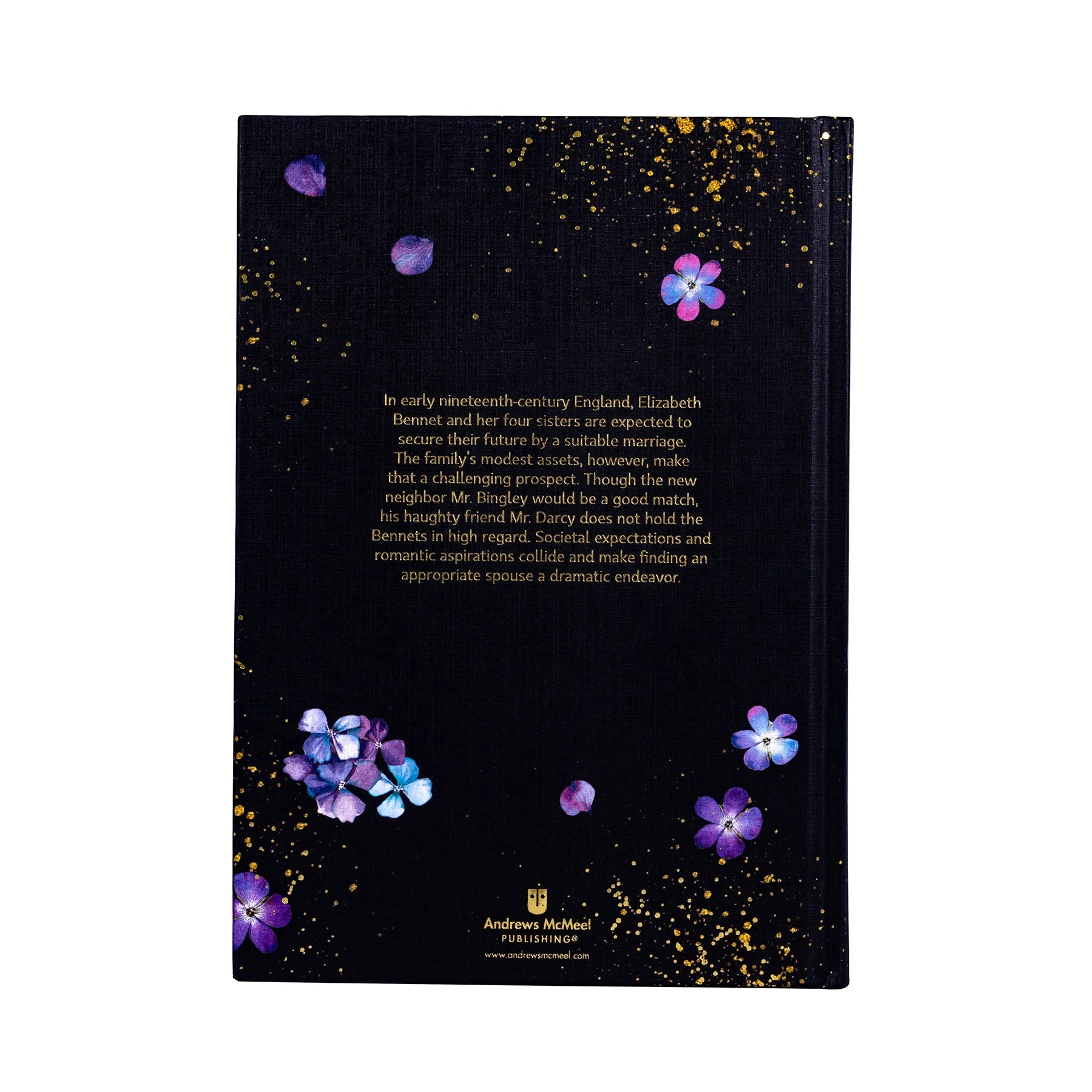 Pride and Prejudice by Jane Austen Illustrated Hardback