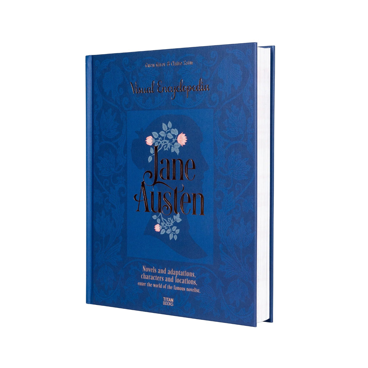 The Visual Encyclopedia is shown at a slight angle, so the edges of the pages are visible.