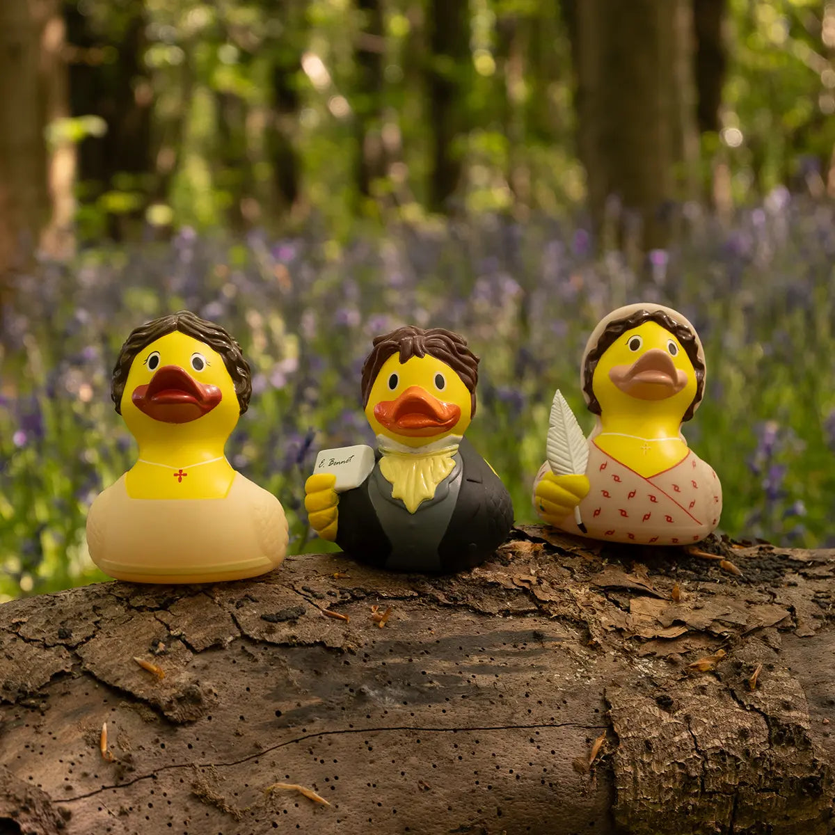 Three Jane Austen themed ducks on a log in the woods