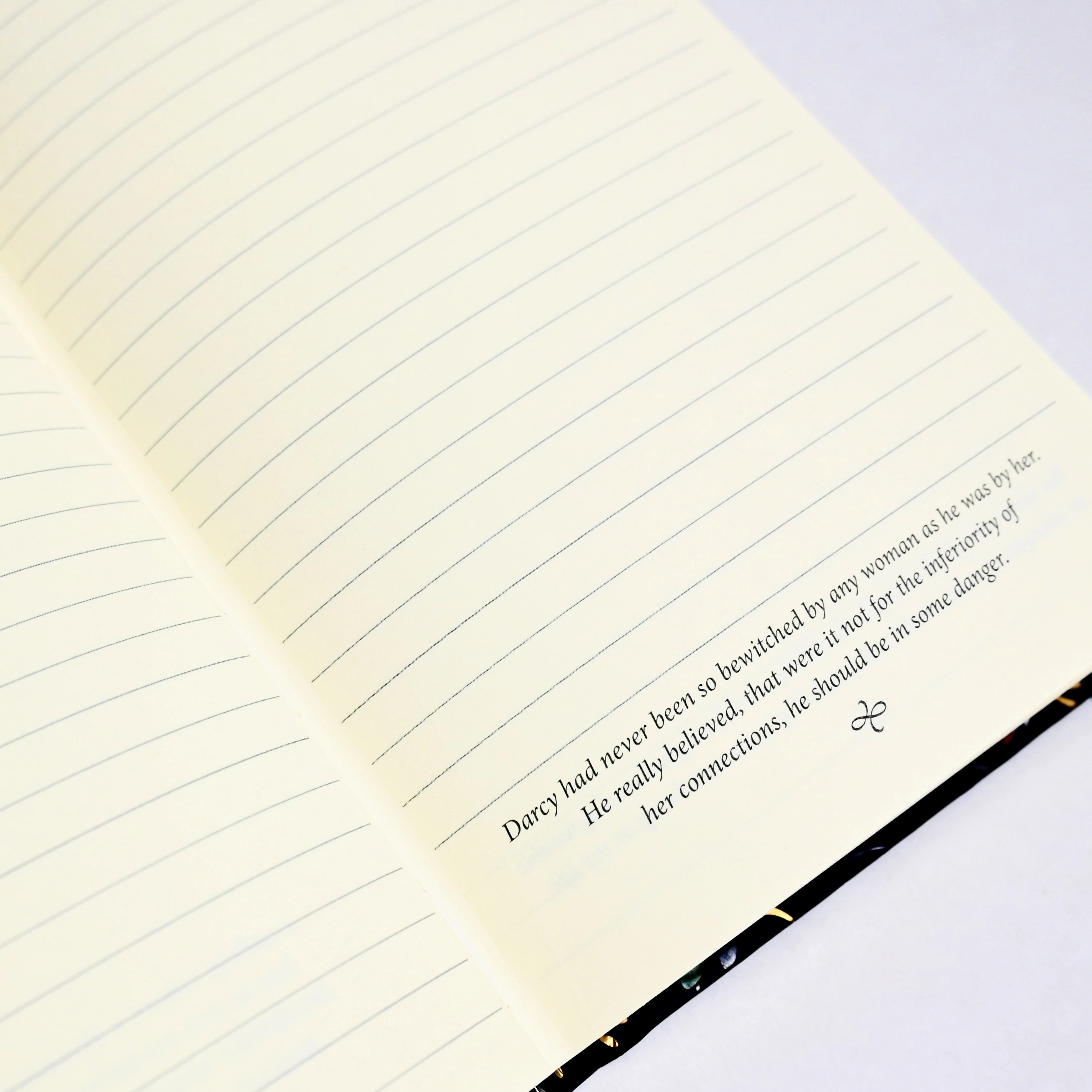 Inside of Page of Journal with lined pages and Pride and Prejudice Quotes