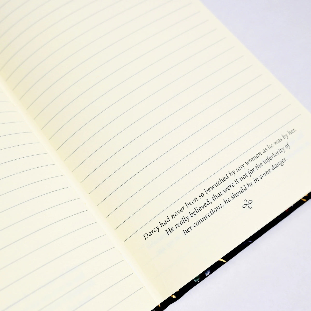 Inside of Page of Journal with lined pages and Pride and Prejudice Quotes