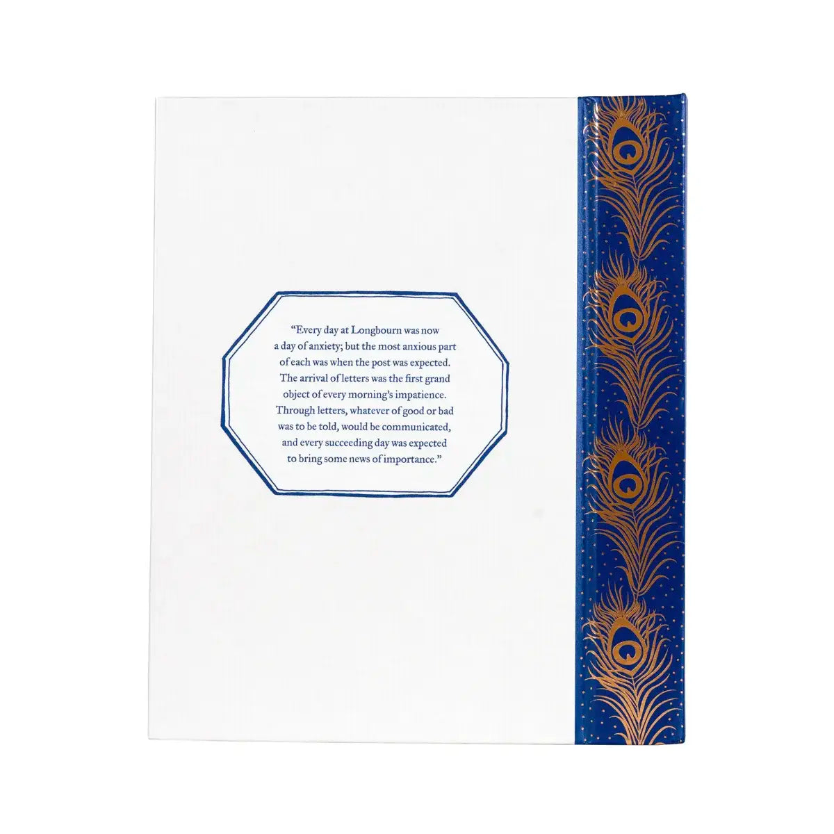 Back Cover of Pride and Prejudice Deluxe Edition by Barbara Heller