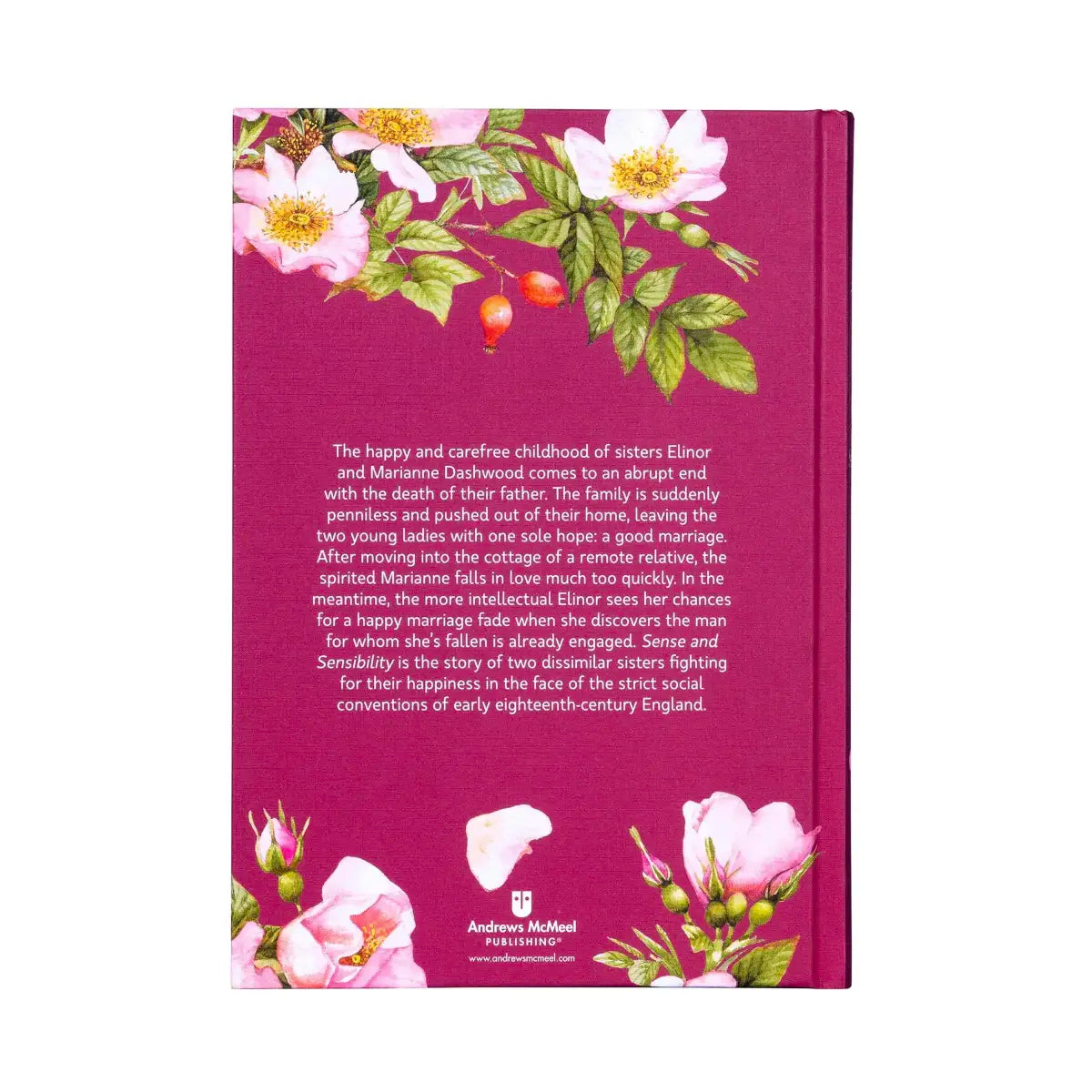 Hardcover Jane Austen illustrated back cover