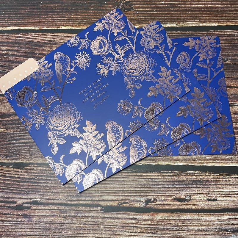 Set of 9 Jane Austen Files