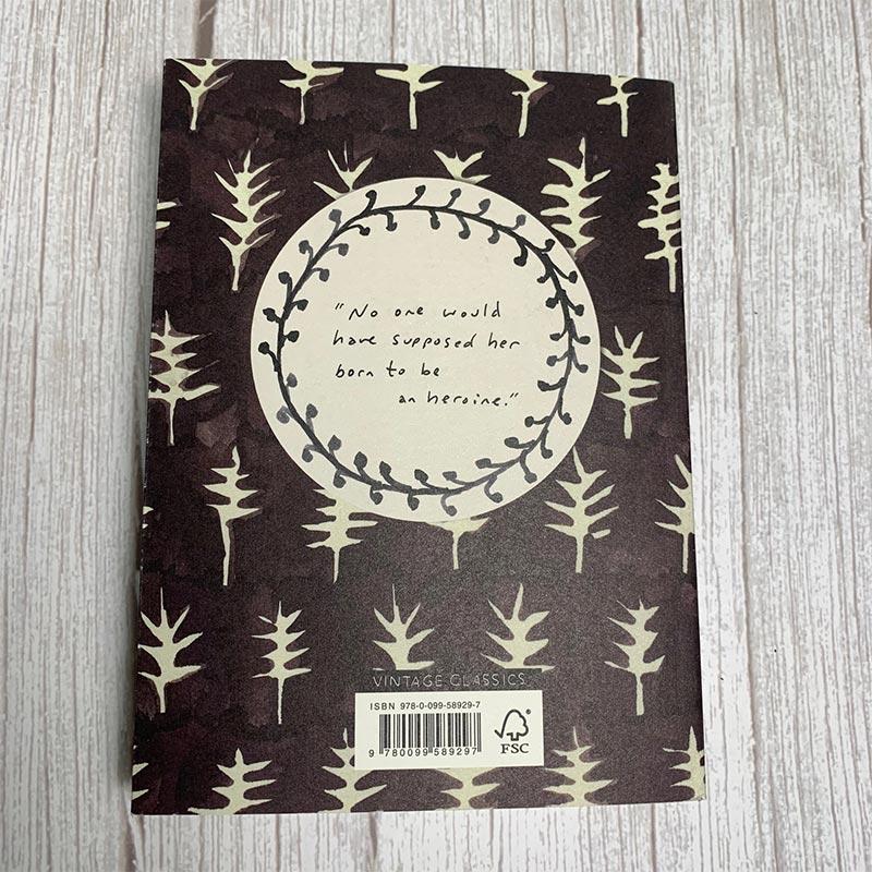 Northanger Abbey Vintage Classics - JaneAusten.co.uk