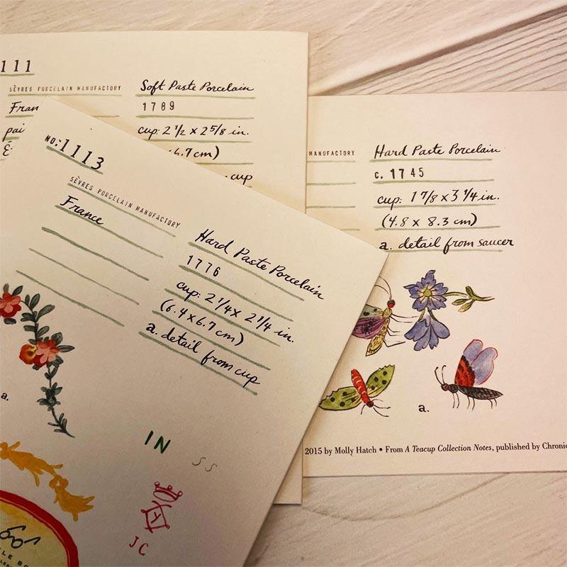 Teacup Cards - Teacup Notecard Collection - Pack of 20