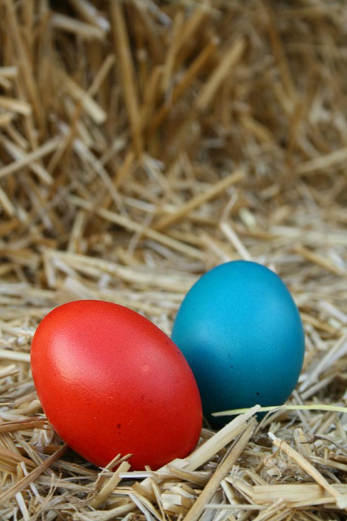 Boiled Eggs for Easter: Dying Methods and Uses - JaneAusten.co.uk