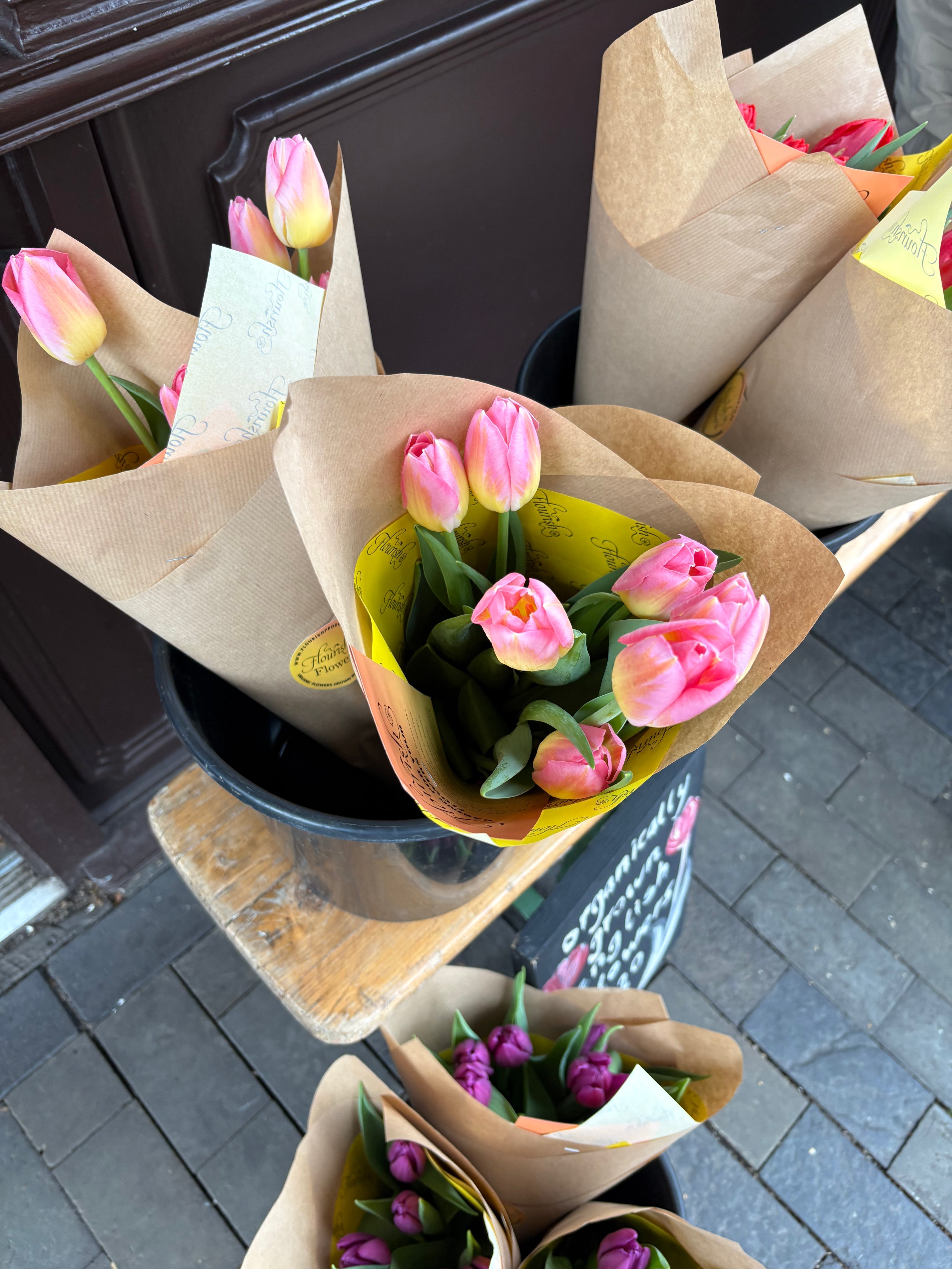 Taking a turn about the garden: Blooming into Spring with Jane Austen