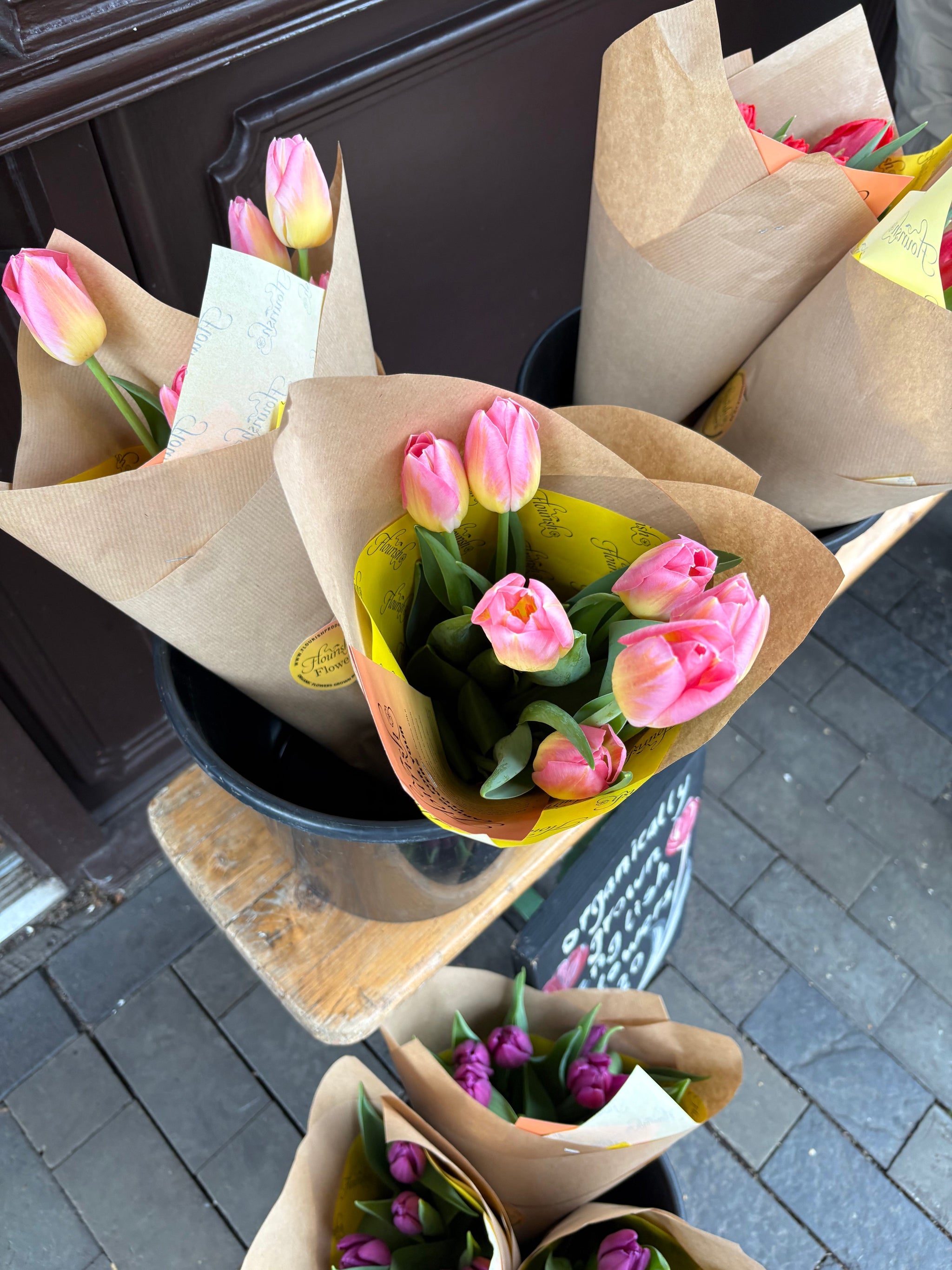 Taking a turn about the garden: Blooming into Spring with Jane Austen