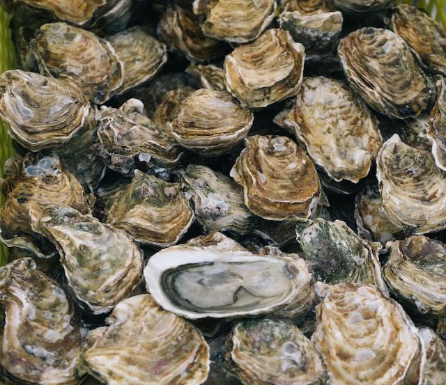 Oysters, Oyster Sauce and Mock Oyster Sauce - JaneAusten.co.uk