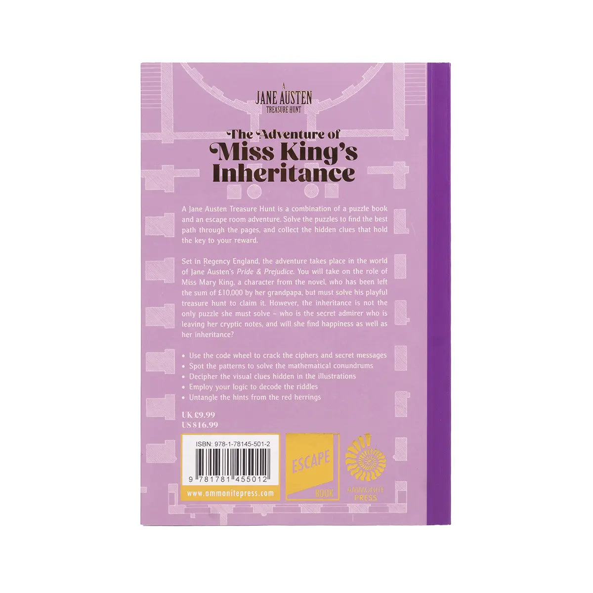 The back cover of A Jane Austen Treasure Hunt: The Adventure of Miss King's Inheritance by Charles Phillips and Melanie Frances