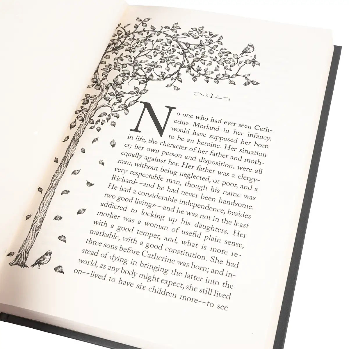 Open book with decorative text and illustrations on a white background